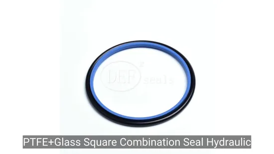 PTFE+Glass Square Combination Seal Hydraulic Seal Rod Seal